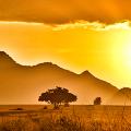 Uganda - Kidepo Park